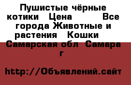 Пушистые чёрные котики › Цена ­ 100 - Все города Животные и растения » Кошки   . Самарская обл.,Самара г.